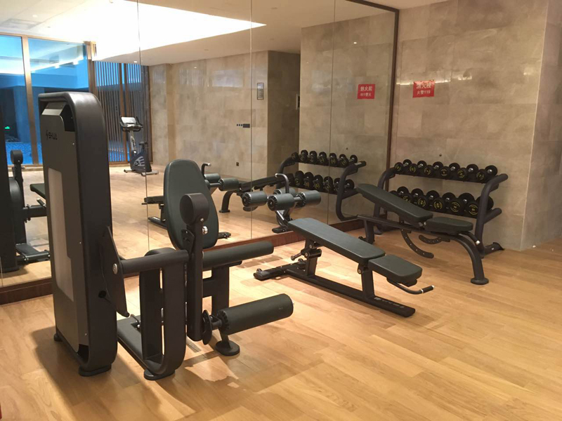 酒店健身房器材,室内健身器材,高端商用健身器材-广西球王会体育健身器材有限公司