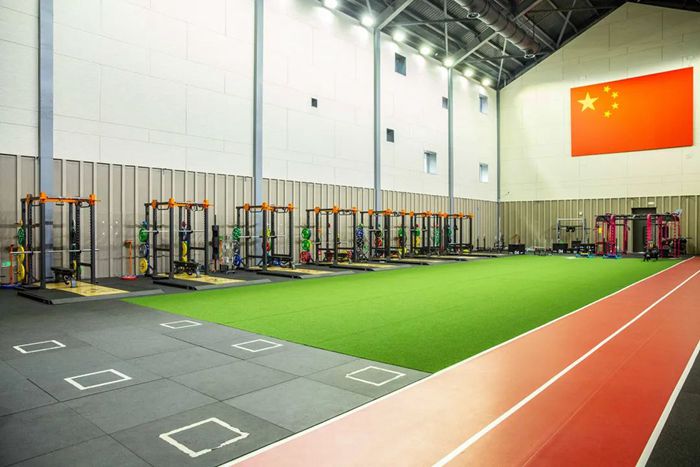 体能训练解决方案-广西球王会体育 体能训练解决方案-广西球王会体育