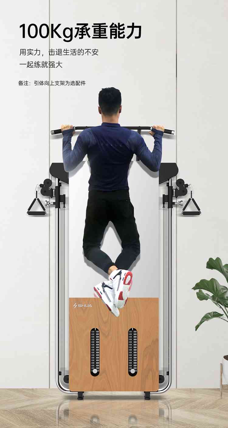 SH-G699 壁挂式拉绳训练器-广西球王会体育健身器材有限公司