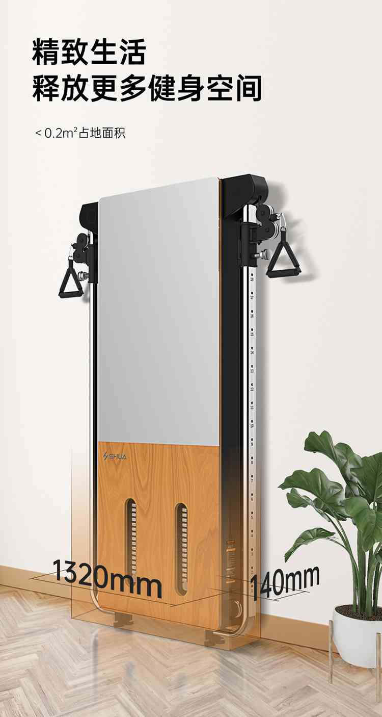 SH-G699 壁挂式拉绳训练器-广西球王会体育健身器材有限公司